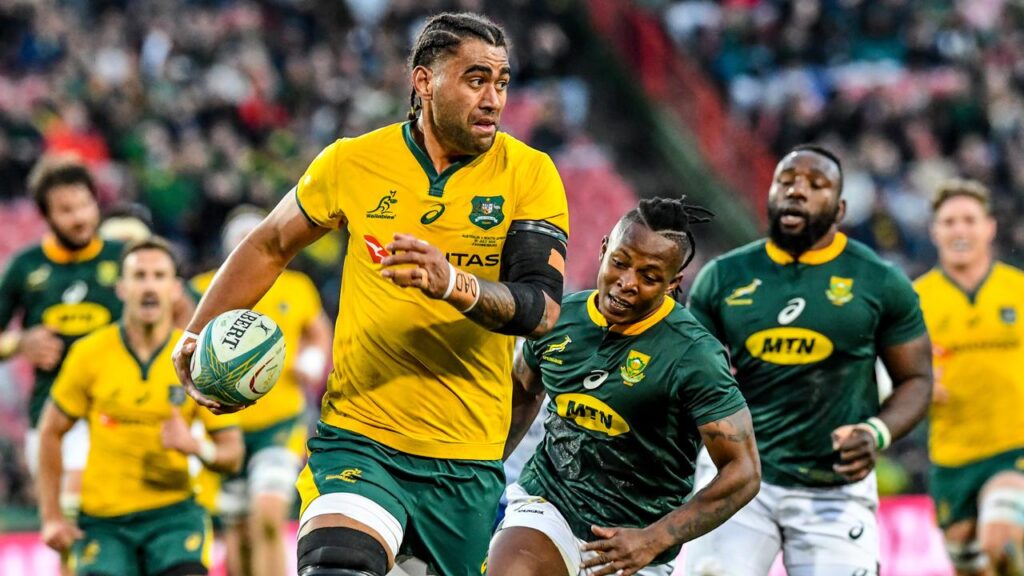 wallabies