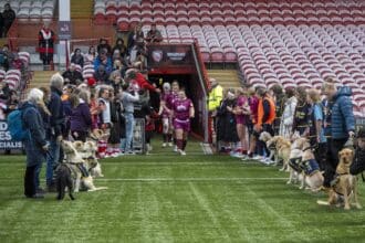 discover how guide dog puppies support and guard while empowering premier women's rugby teams. a unique look at training, teamwork, and dedication.
