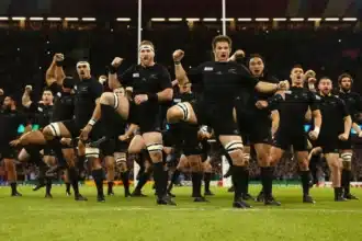 rugby popular