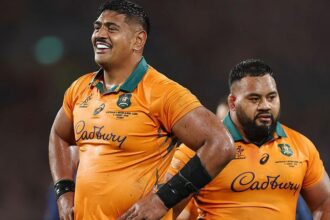 wallabies rugby